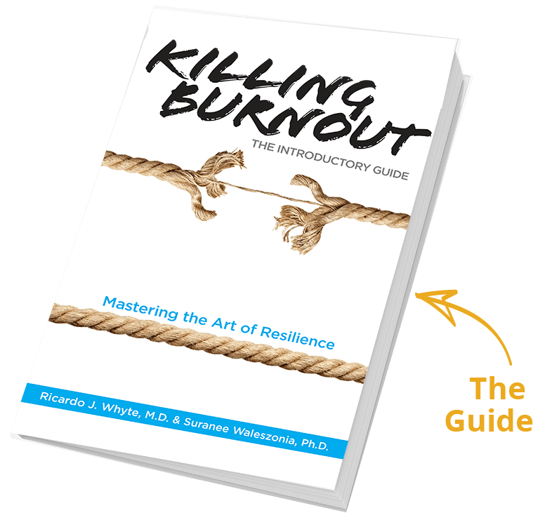 Killing Burnout The Introductory Guide